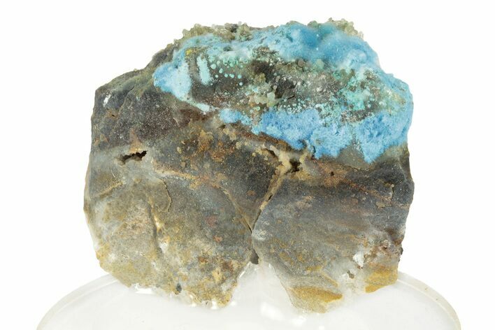 Vibrant Blue Cyanotrichite with Cubic Fluorite - China #238814